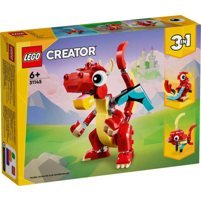 65313
