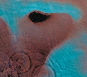 73151