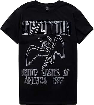73723