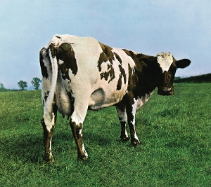 73660